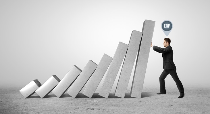 crise sistemaserp