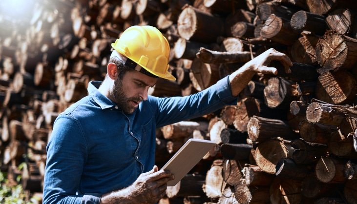 O papel do ERP no upstream e downstream de uma empresa